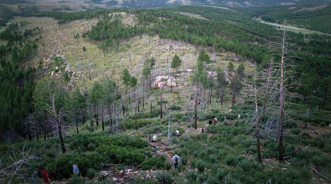 Philmont Scout Ranch Paradise C&I Magazine