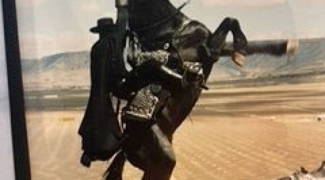 Zorro 7 - Cowboys and Indians Magazine