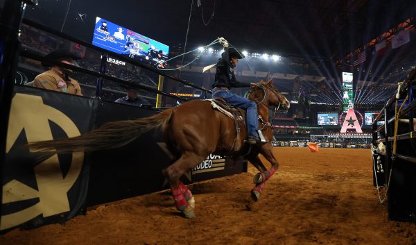 ARLINGTON, TEXAS - MARCH 09: Derrick Begay competes in the team roping event during The American Rodeo by Teton Ridge at Globe Life Field on March 09, 2024 in Arlington, Texas. (Photo by Carolyn Simancik/Getty Images for Teton Ridge)